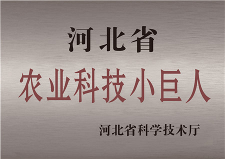 凯龙尊时一人生就是搏生物农业股份有限公司被评为河北省农业科技小巨人