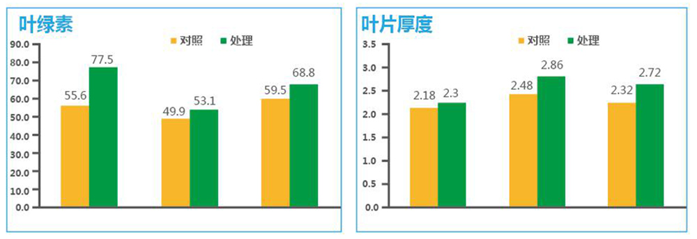 凯龙尊时一人生就是搏生物“海藻+氮磷钾+腐植酸”让果树旺起来